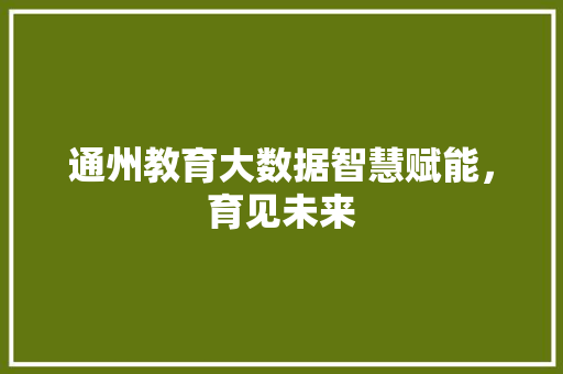 通州教育大数据智慧赋能，育见未来