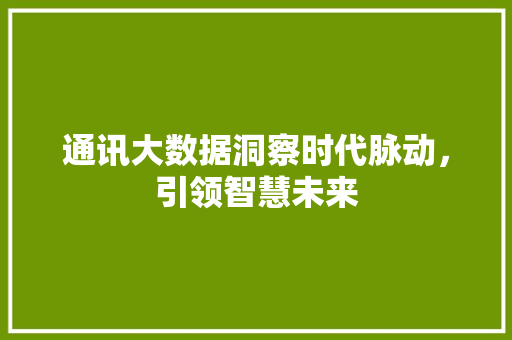 通讯大数据洞察时代脉动，引领智慧未来