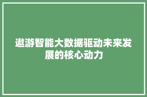 遨游智能大数据驱动未来发展的核心动力