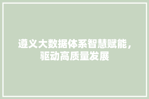 遵义大数据体系智慧赋能，驱动高质量发展
