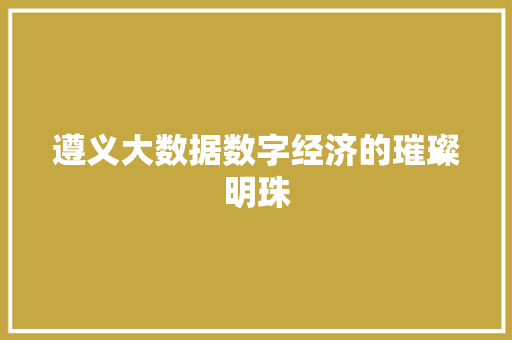 遵义大数据数字经济的璀璨明珠 SEO教程