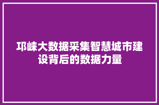 邛崃大数据采集智慧城市建设背后的数据力量