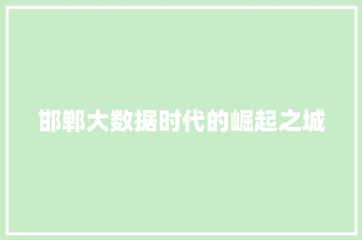 邯郸大数据时代的崛起之城