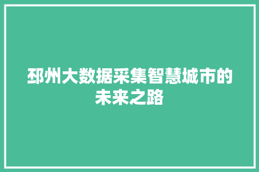 邳州大数据采集智慧城市的未来之路