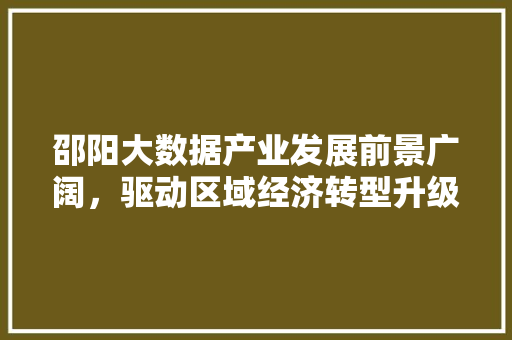 邵阳大数据产业发展前景广阔，驱动区域经济转型升级