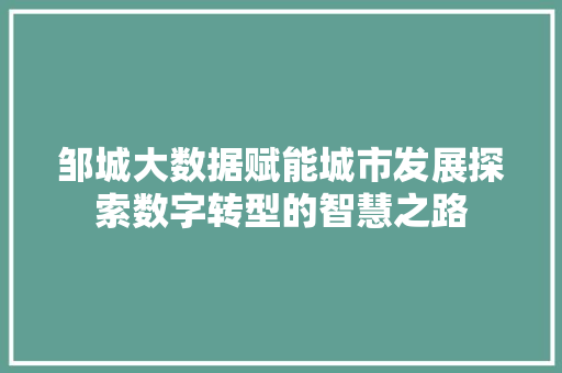 邹城大数据赋能城市发展探索数字转型的智慧之路