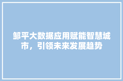 邹平大数据应用赋能智慧城市，引领未来发展趋势