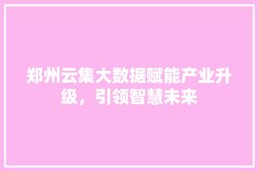 郑州云集大数据赋能产业升级，引领智慧未来