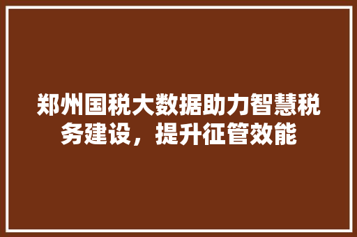 郑州国税大数据助力智慧税务建设，提升征管效能