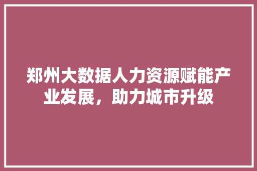 郑州大数据人力资源赋能产业发展，助力城市升级