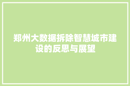 郑州大数据拆除智慧城市建设的反思与展望