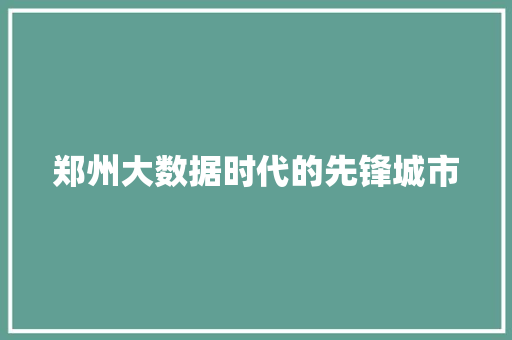 郑州大数据时代的先锋城市
