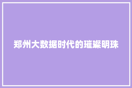 郑州大数据时代的璀璨明珠
