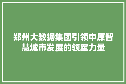 郑州大数据集团引领中原智慧城市发展的领军力量