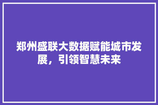 郑州盛联大数据赋能城市发展，引领智慧未来