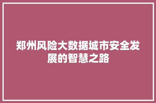 郑州风险大数据城市安全发展的智慧之路