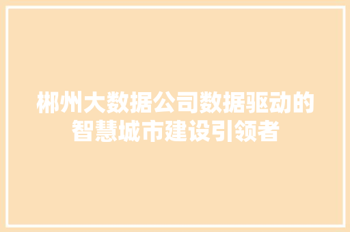 郴州大数据公司数据驱动的智慧城市建设引领者