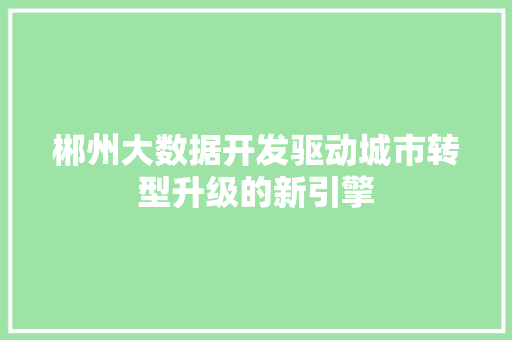 郴州大数据开发驱动城市转型升级的新引擎