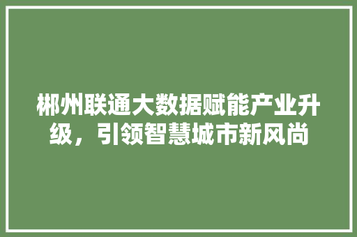 郴州联通大数据赋能产业升级，引领智慧城市新风尚