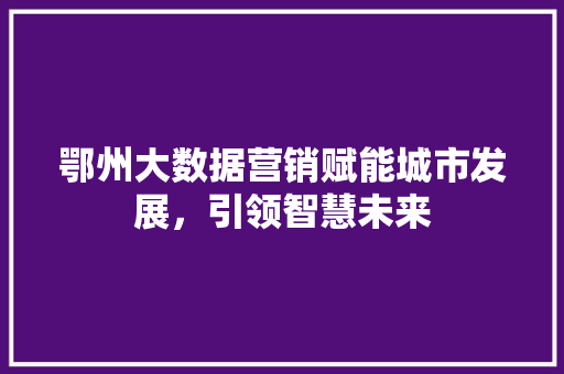 鄂州大数据营销赋能城市发展，引领智慧未来