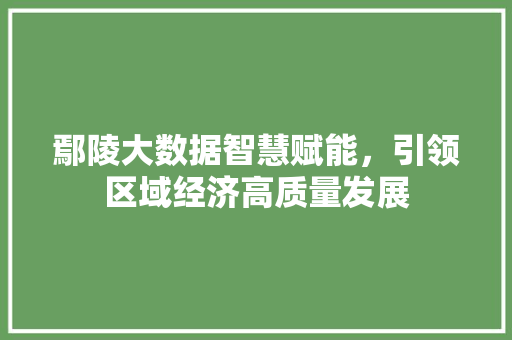 鄢陵大数据智慧赋能，引领区域经济高质量发展