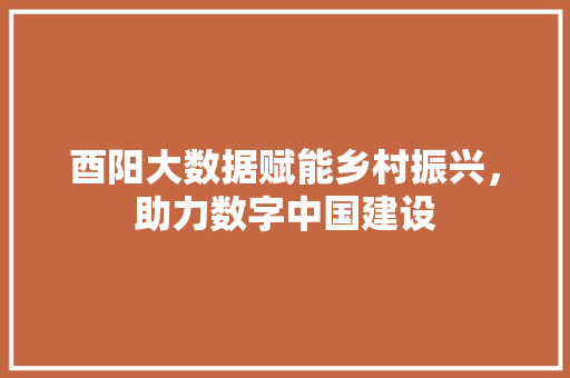 酉阳大数据赋能乡村振兴，助力数字中国建设