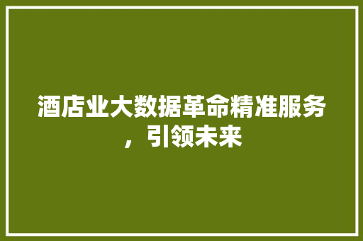酒店业大数据革命精准服务，引领未来