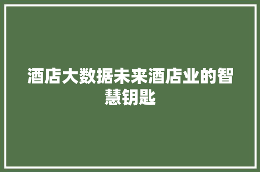 酒店大数据未来酒店业的智慧钥匙