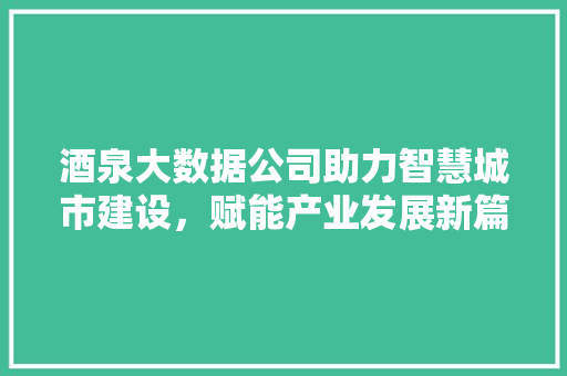 酒泉大数据公司助力智慧城市建设，赋能产业发展新篇章