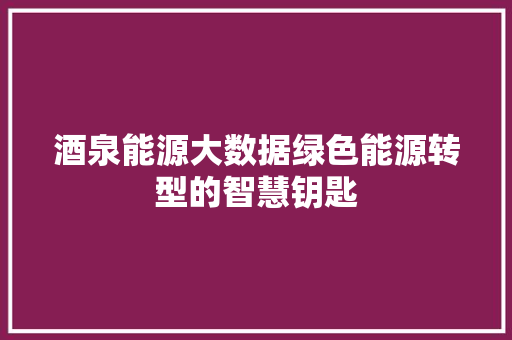 酒泉能源大数据绿色能源转型的智慧钥匙