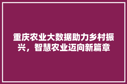 重庆农业大数据助力乡村振兴，智慧农业迈向新篇章