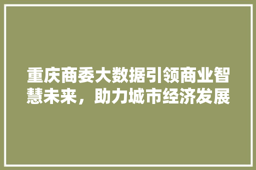 重庆商委大数据引领商业智慧未来，助力城市经济发展