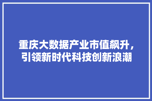 重庆大数据产业市值飙升，引领新时代科技创新浪潮