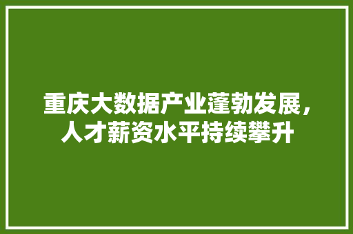 重庆大数据产业蓬勃发展，人才薪资水平持续攀升
