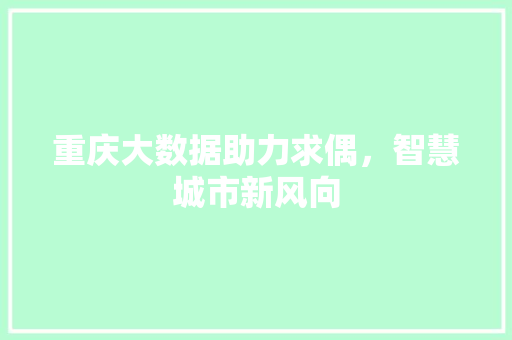 重庆大数据助力求偶，智慧城市新风向