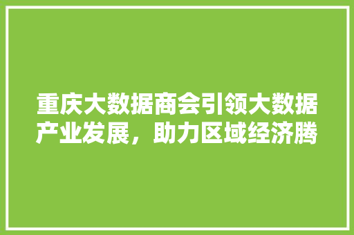 重庆大数据商会引领大数据产业发展，助力区域经济腾飞 SEO教程
