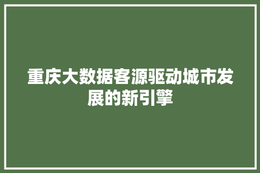 重庆大数据客源驱动城市发展的新引擎