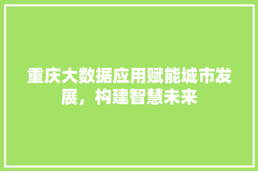 重庆大数据应用赋能城市发展，构建智慧未来
