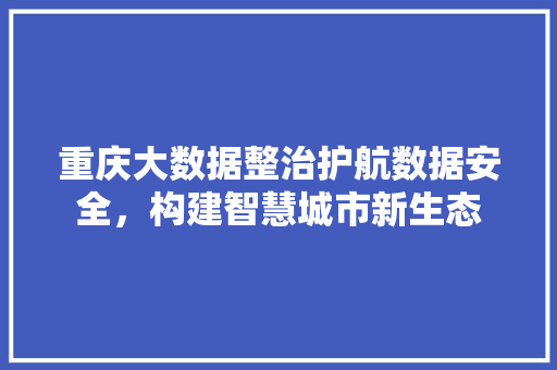 重庆大数据整治护航数据安全，构建智慧城市新生态