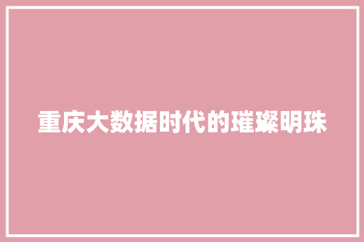 重庆大数据时代的璀璨明珠 友链在线