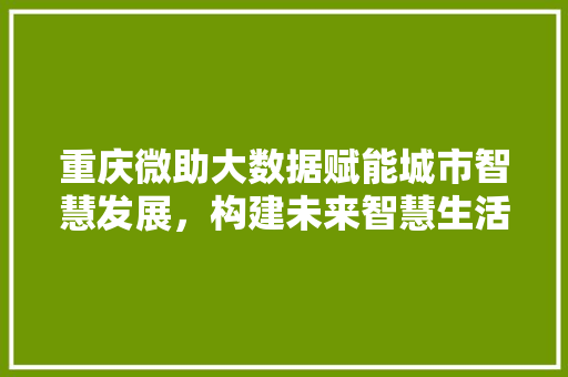 重庆微助大数据赋能城市智慧发展，构建未来智慧生活 服务器/数据库