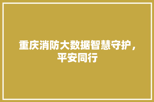 重庆消防大数据智慧守护，平安同行
