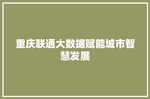 重庆联通大数据赋能城市智慧发展