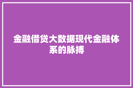 金融借贷大数据现代金融体系的脉搏