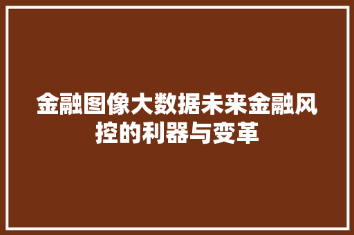 金融图像大数据未来金融风控的利器与变革