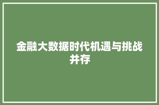 金融大数据时代机遇与挑战并存