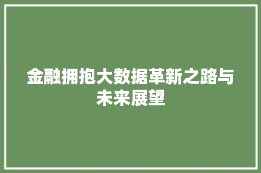 金融拥抱大数据革新之路与未来展望