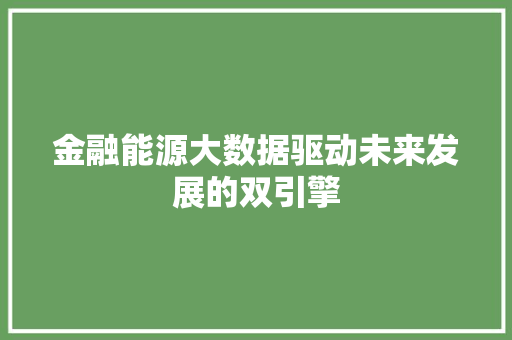 金融能源大数据驱动未来发展的双引擎