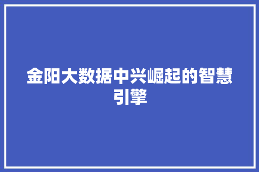 金阳大数据中兴崛起的智慧引擎