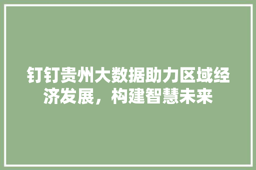 钉钉贵州大数据助力区域经济发展，构建智慧未来